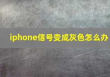 iphone信号变成灰色怎么办