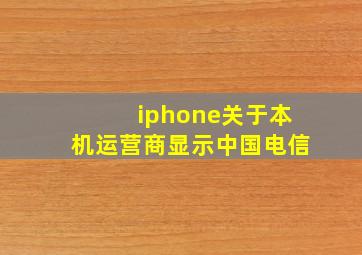 iphone关于本机运营商显示中国电信