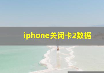 iphone关闭卡2数据