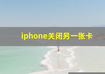 iphone关闭另一张卡