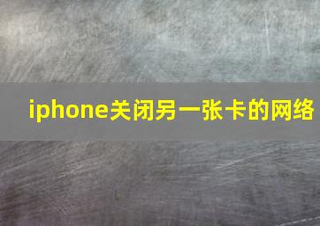 iphone关闭另一张卡的网络