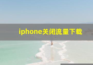 iphone关闭流量下载