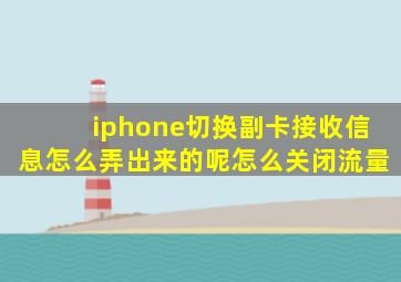 iphone切换副卡接收信息怎么弄出来的呢怎么关闭流量