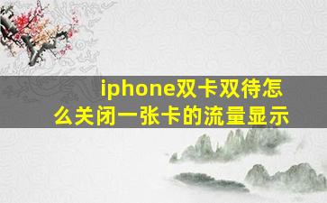 iphone双卡双待怎么关闭一张卡的流量显示