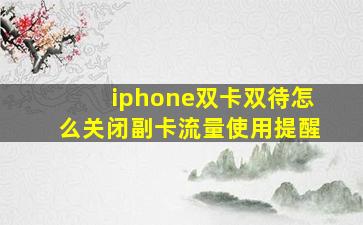 iphone双卡双待怎么关闭副卡流量使用提醒