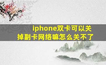 iphone双卡可以关掉副卡网络嘛怎么关不了