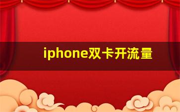 iphone双卡开流量