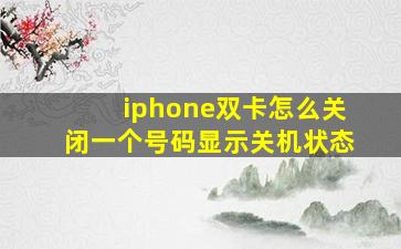 iphone双卡怎么关闭一个号码显示关机状态