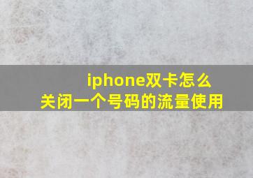 iphone双卡怎么关闭一个号码的流量使用