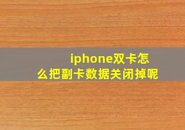 iphone双卡怎么把副卡数据关闭掉呢