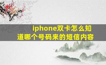 iphone双卡怎么知道哪个号码来的短信内容