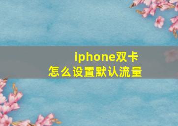 iphone双卡怎么设置默认流量