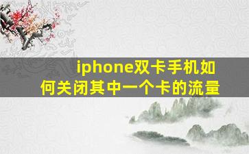 iphone双卡手机如何关闭其中一个卡的流量