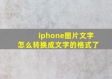 iphone图片文字怎么转换成文字的格式了