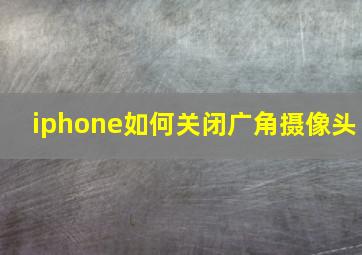 iphone如何关闭广角摄像头