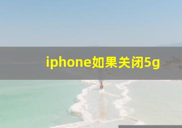 iphone如果关闭5g