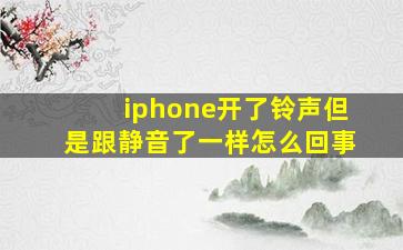 iphone开了铃声但是跟静音了一样怎么回事