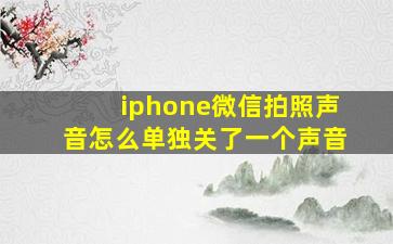 iphone微信拍照声音怎么单独关了一个声音