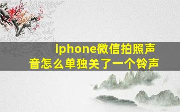 iphone微信拍照声音怎么单独关了一个铃声