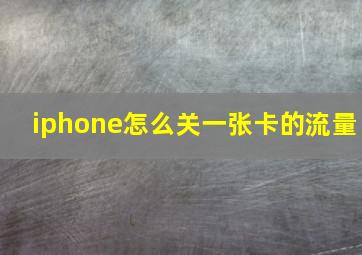 iphone怎么关一张卡的流量