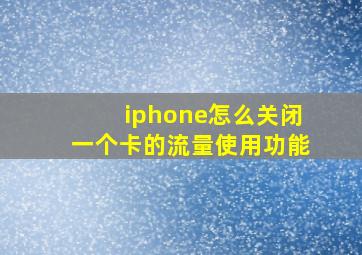 iphone怎么关闭一个卡的流量使用功能