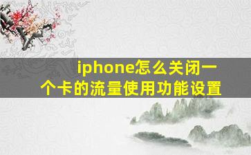 iphone怎么关闭一个卡的流量使用功能设置