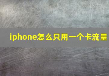 iphone怎么只用一个卡流量