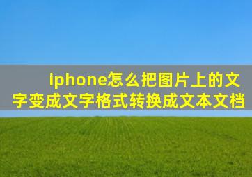 iphone怎么把图片上的文字变成文字格式转换成文本文档