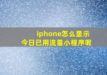 iphone怎么显示今日已用流量小程序呢