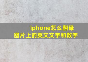 iphone怎么翻译图片上的英文文字和数字