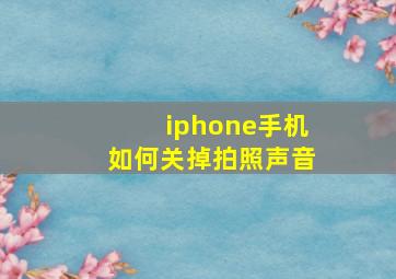 iphone手机如何关掉拍照声音