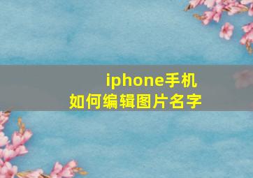 iphone手机如何编辑图片名字