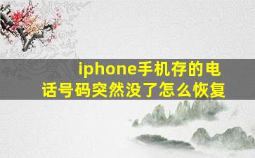 iphone手机存的电话号码突然没了怎么恢复