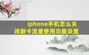 iphone手机怎么关闭副卡流量使用功能设置