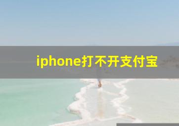 iphone打不开支付宝