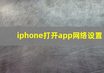 iphone打开app网络设置