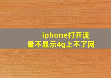 iphone打开流量不显示4g上不了网