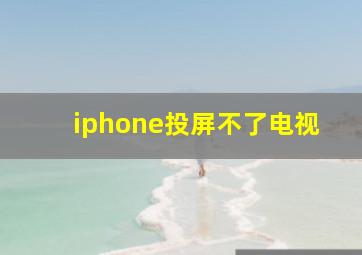 iphone投屏不了电视