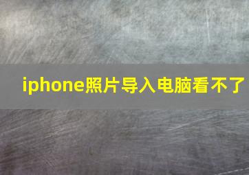 iphone照片导入电脑看不了