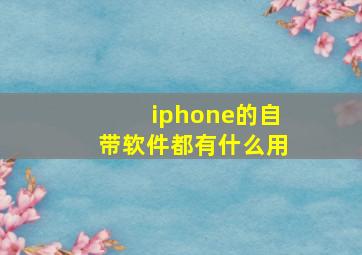 iphone的自带软件都有什么用