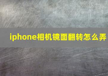 iphone相机镜面翻转怎么弄