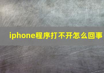 iphone程序打不开怎么回事