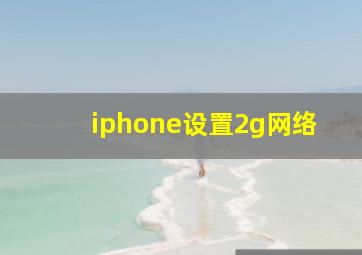 iphone设置2g网络