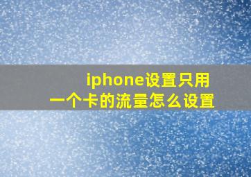 iphone设置只用一个卡的流量怎么设置