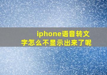 iphone语音转文字怎么不显示出来了呢