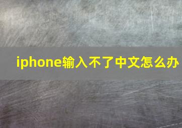 iphone输入不了中文怎么办