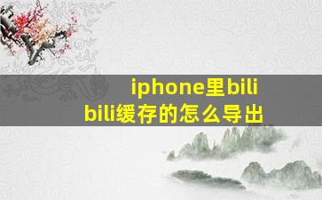 iphone里bilibili缓存的怎么导出