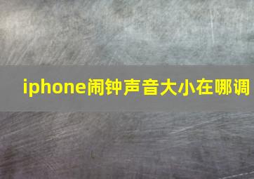 iphone闹钟声音大小在哪调