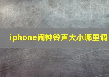 iphone闹钟铃声大小哪里调