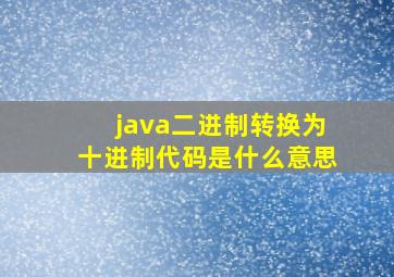 java二进制转换为十进制代码是什么意思